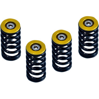 BARNETT SPRING KIT “GOLD” FOR ALL DUCATI SIX SPEED DRY CLUTCH MODELS - SKU: 1131-1833